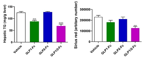 그림. 합성단백질(보라색) 투여군에서 간 중성지방(왼쪽)∙섬유화(오른쪽) 수치가 가장 낮았다[그림제공 세브란스병원]