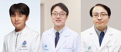 (왼쪽부터) 지헌영, 박덕우, 김남국 교수