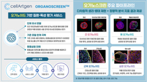 세라트젠, 근육 · 심장 오가노이드 비임상 서비스 강화 - 뉴스 썸네일 이미지